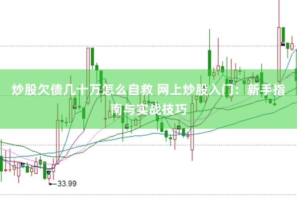 炒股欠债几十万怎么自救 网上炒股入门：新手指南与实战技巧