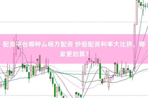 配资平台哪种厶杨方配资 炒股配资利率大比拼，哪家更划算？