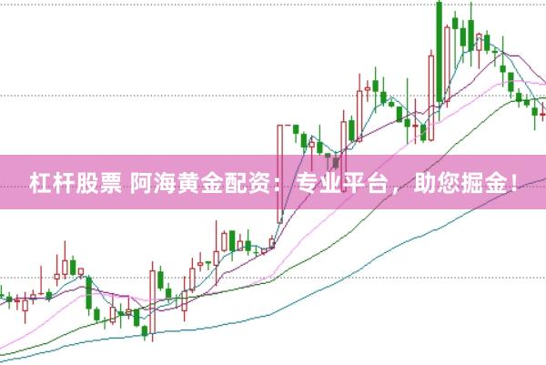 杠杆股票 阿海黄金配资：专业平台，助您掘金！