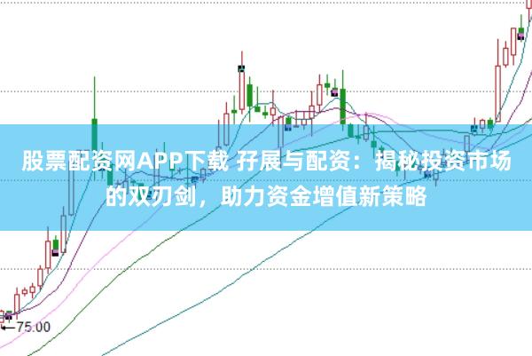 股票配资网APP下载 孖展与配资：揭秘投资市场的双刃剑，助力资金增值新策略